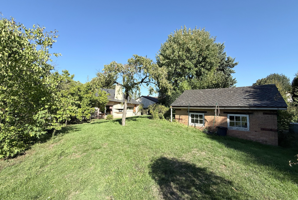 photo_3236393ea62e86f0124edb9425e81459