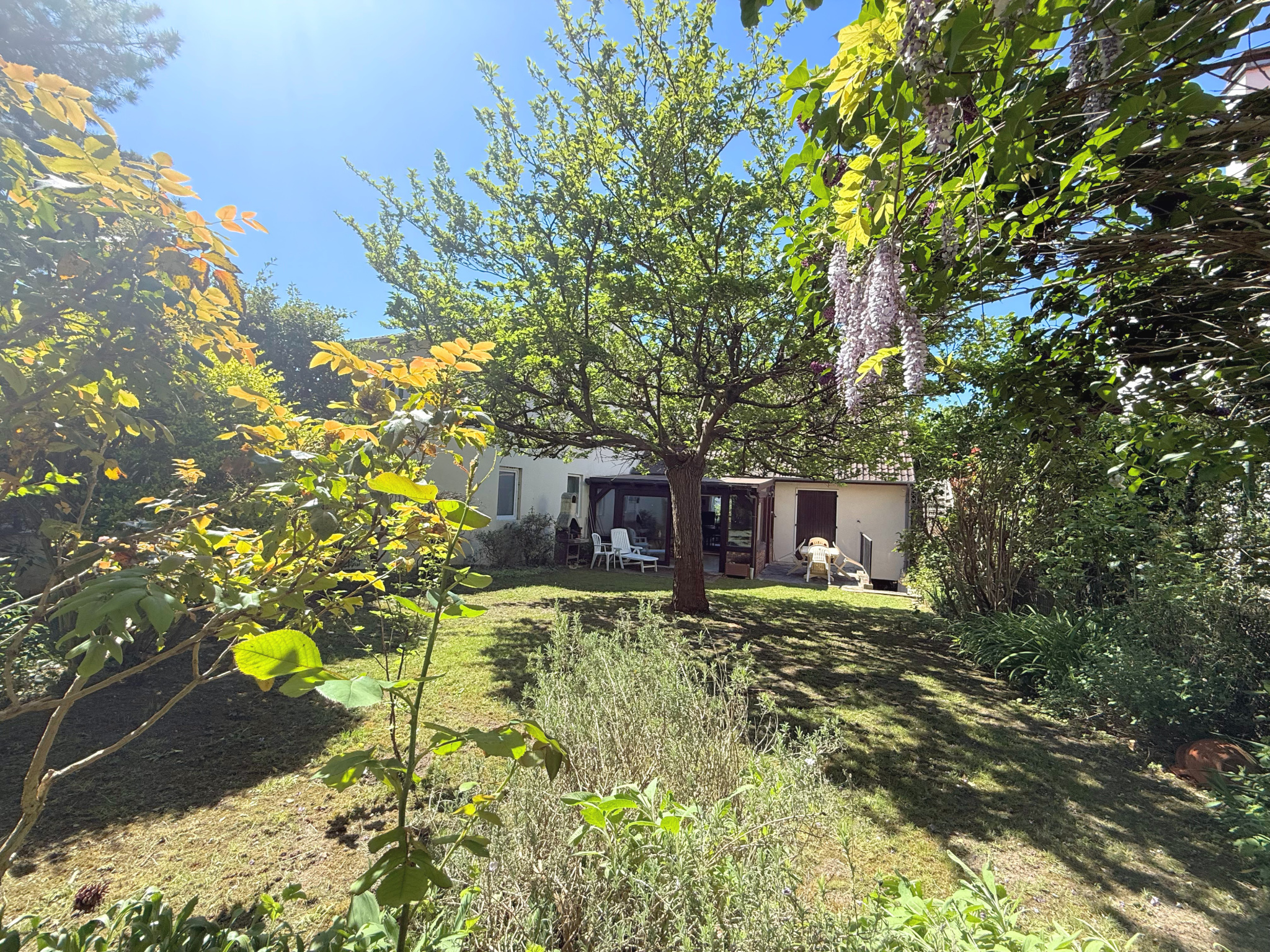 photo_448c5df54b59aa0223b7f260627fbed6