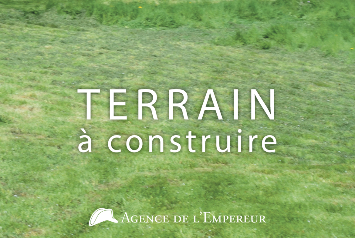 photo_fd7db2036abf6a0949dd0da6e4dcec46